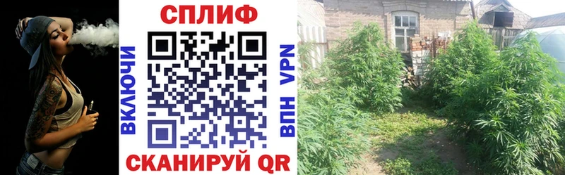 Купить наркотик Ак-Довурак Альфа ПВП  Кодеин  Канабис  Мефедрон  Галлюциногенные грибы 
