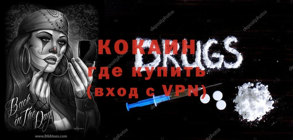 молекула духа Ладушкин