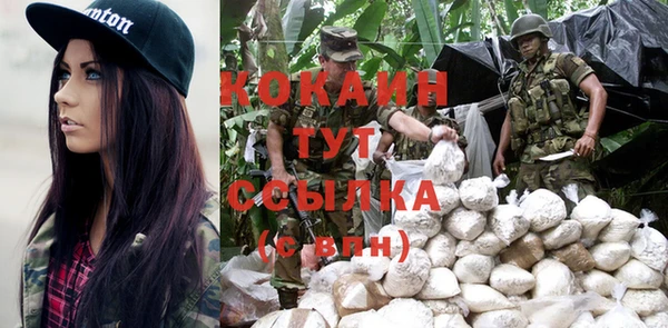 молекула духа Ладушкин